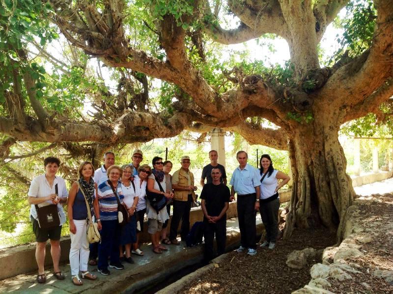Beten an den heiligen Orten und ein Besuch bei den ATS Pro Terra Sancta Projekten: Neuigkeiten von den Pilgern aus Jerusalem