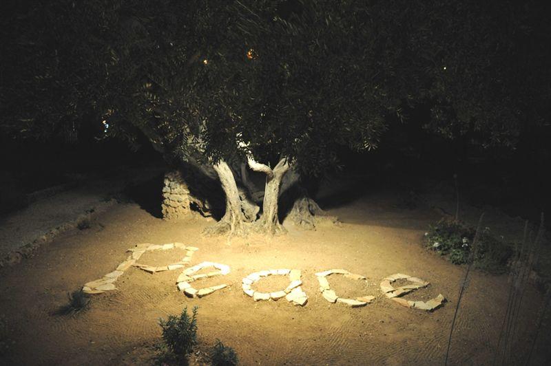 El grito de la Paz: desde Roma a Jerusalén hacia el mundo entero