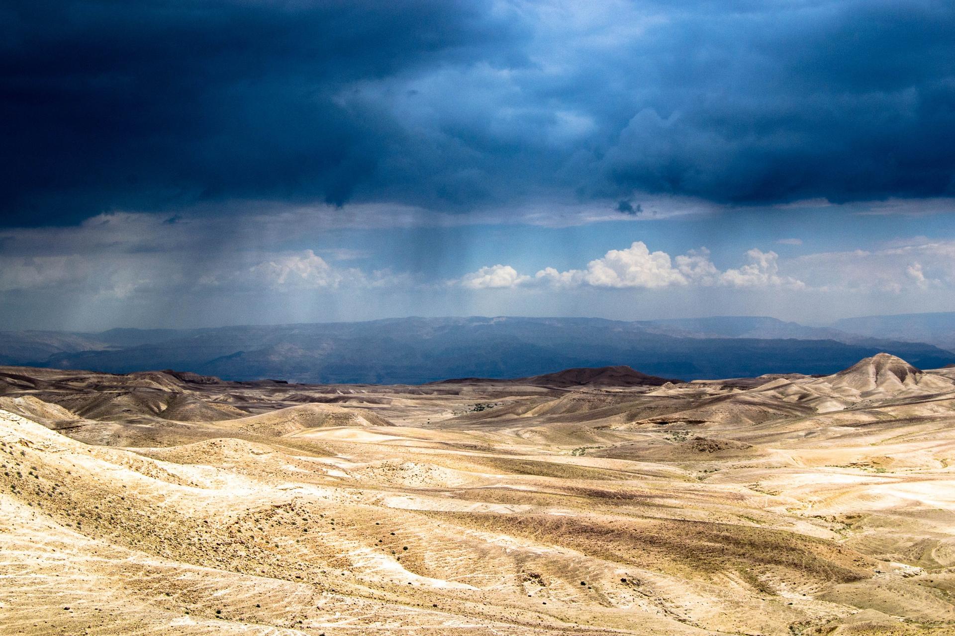 Viaje imaginario en el desierto de Judá: buscando un oasis de paz en tiempos de incertidumbre
