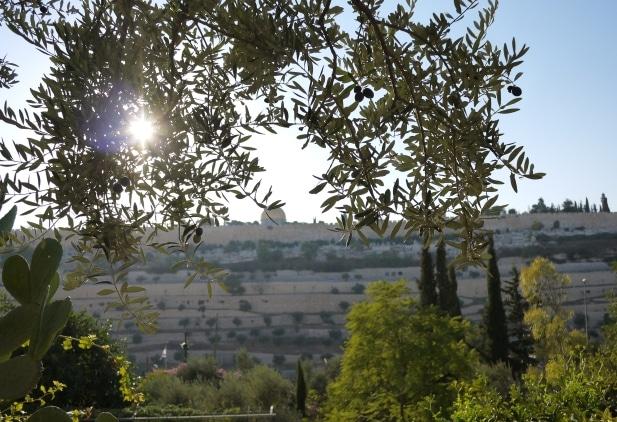 Un nuovo sito per il Romitaggio del Getsemani