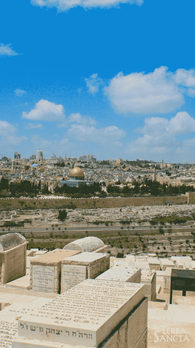 Getsemani: Abschluss eines wichtigen Projekts für Jerusalem und seine Jugendlichen