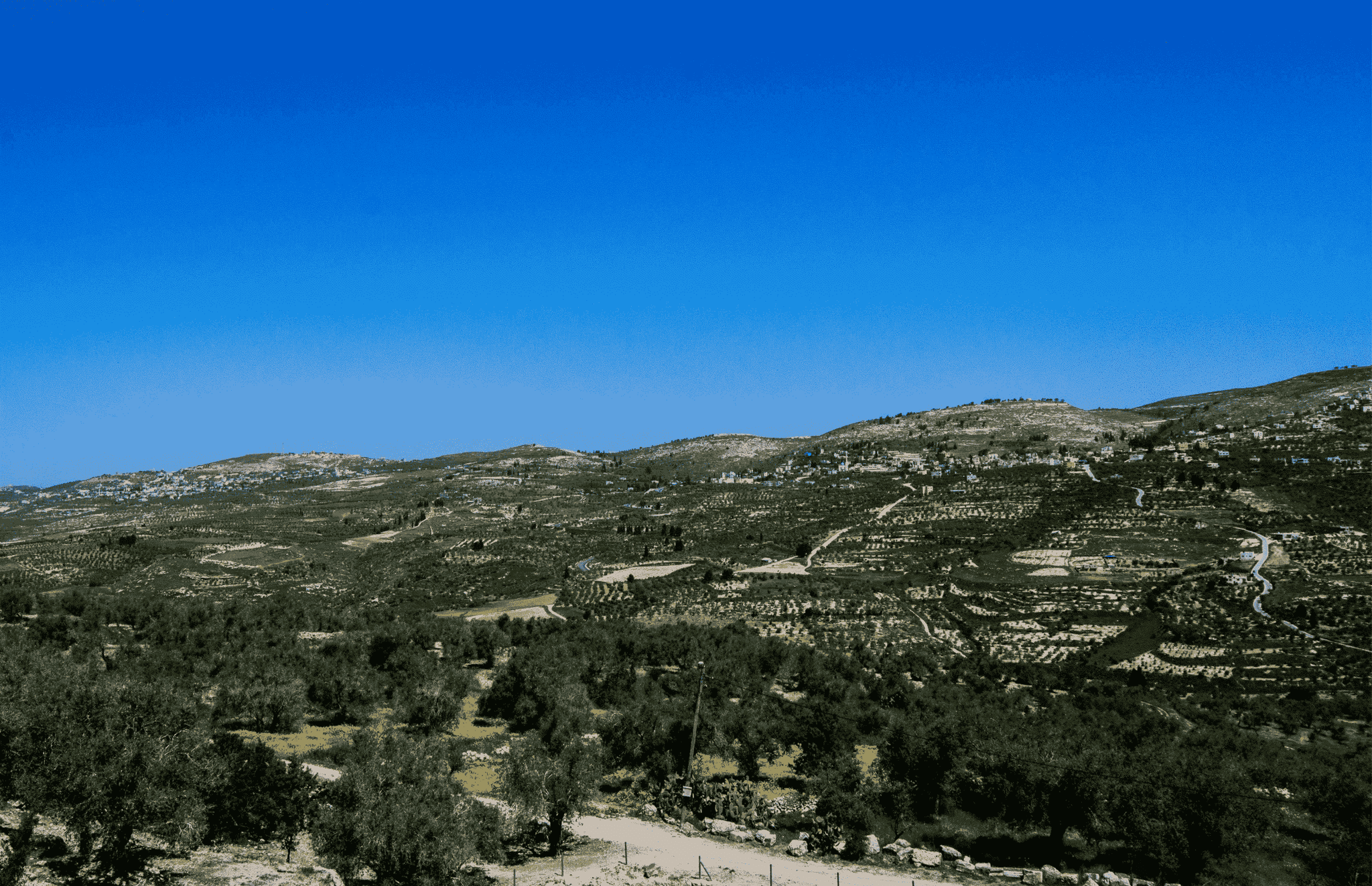 Samaria, sulle sue verdi colline