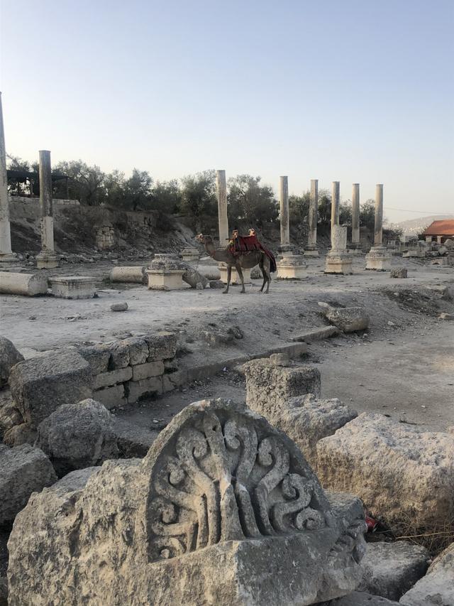 Turning obstacles into opportunities. How the Pro Terra Sancta Network reacted to the coronavirus pandemic.